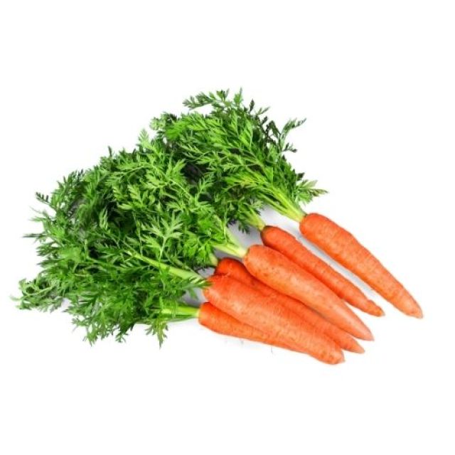 લાલ ગાજર (Red Carrot)
