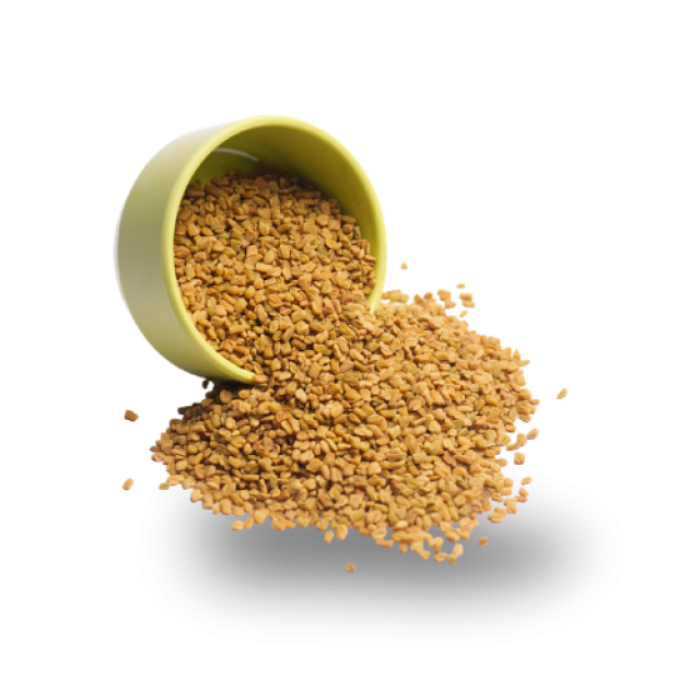 મેથી (fenugreek)