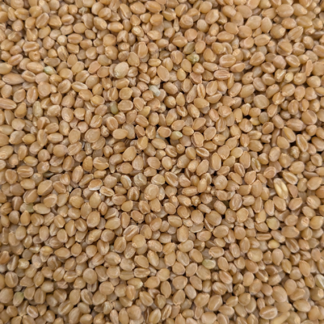 સોનામોતી ઘઉં (Sonamoti Wheat)